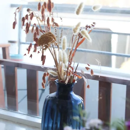 Moevenkoje Fuer 1-2 Personen Mit Pool Appartement Dahme (Schleswig-Holstein)